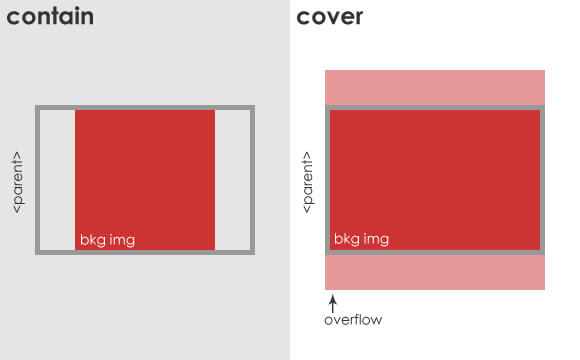 Cover contain